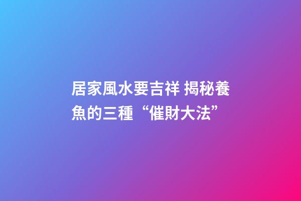 居家風水要吉祥 揭秘養魚的三種“催財大法”